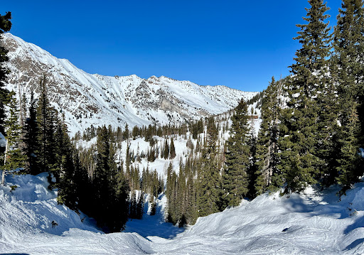 Snowbird Ski and Summer Resort